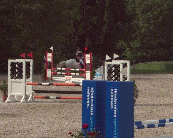 Reitturnier Meilen 2021