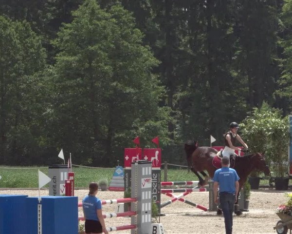 Reitturnier Meilen 2021