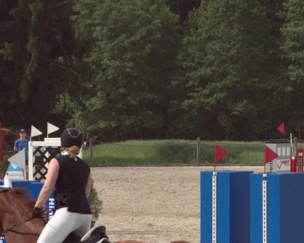 Reitturnier Meilen 2021