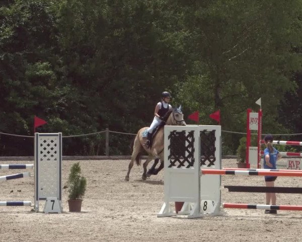 Reitturnier Meilen 2021