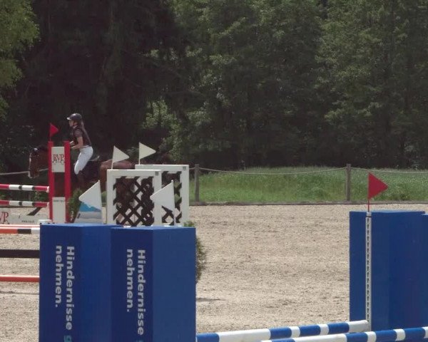 Reitturnier Meilen 2021