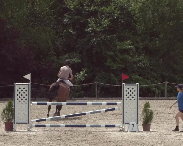 Reitturnier Meilen 2021