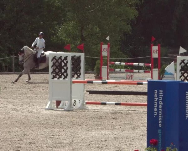 Reitturnier Meilen 2021