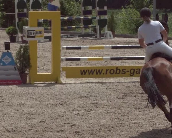Reitturnier Meilen 2021