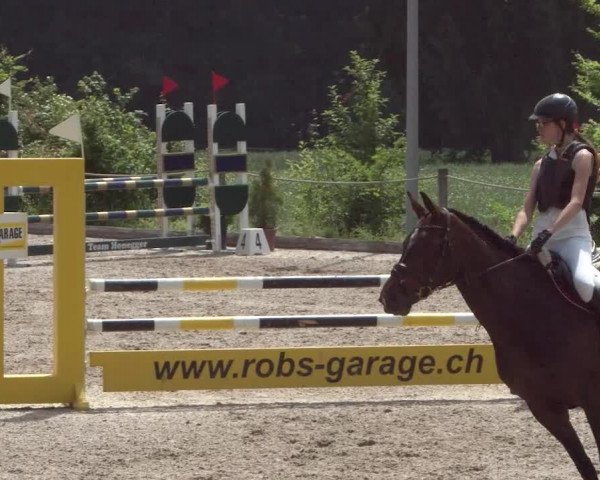 Reitturnier Meilen 2021