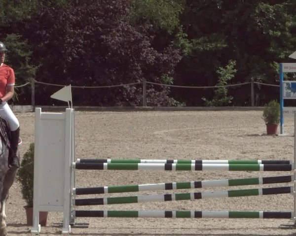 Reitturnier Meilen 2021