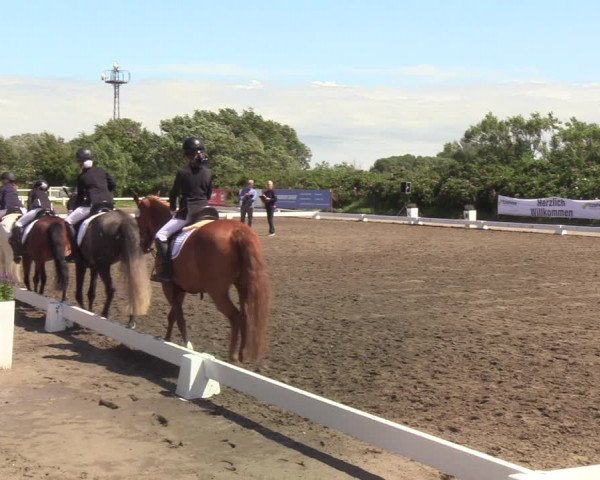 Reitturnier St. Peter Ording 2021