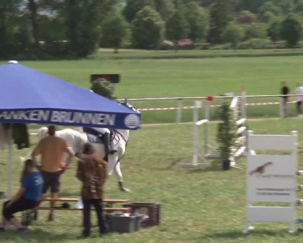 Reitturnier Bad Windsheim/Mfr. 2021