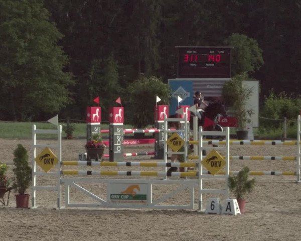 Reitturnier Meilen 2021