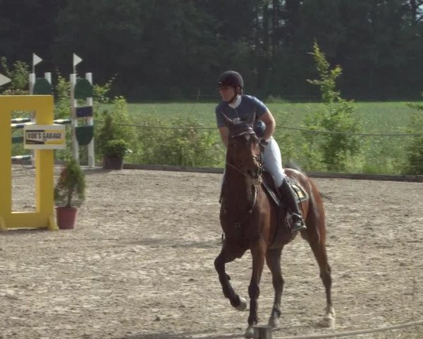 Reitturnier Meilen 2021