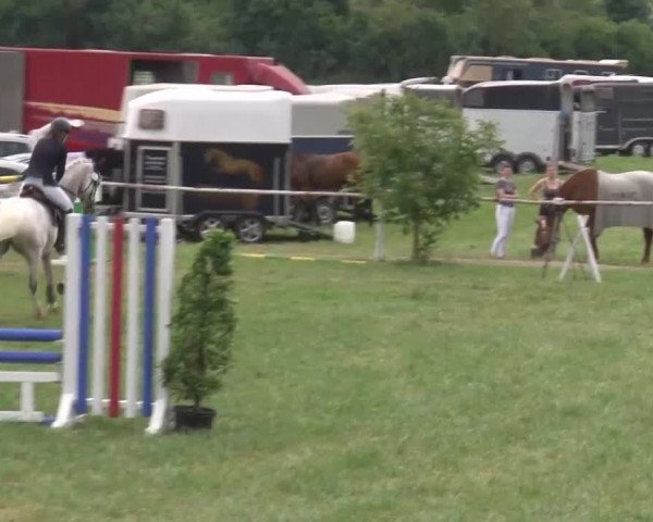 Reitturnier Bad Windsheim/Mfr. 2021