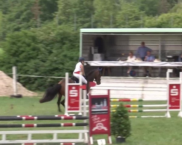Reitturnier Bad Windsheim/Mfr. 2021