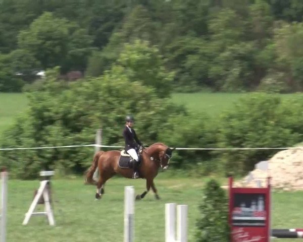 Reitturnier Bad Windsheim/Mfr. 2021