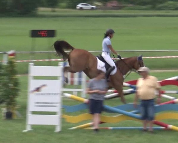 Reitturnier Bad Windsheim/Mfr. 2021