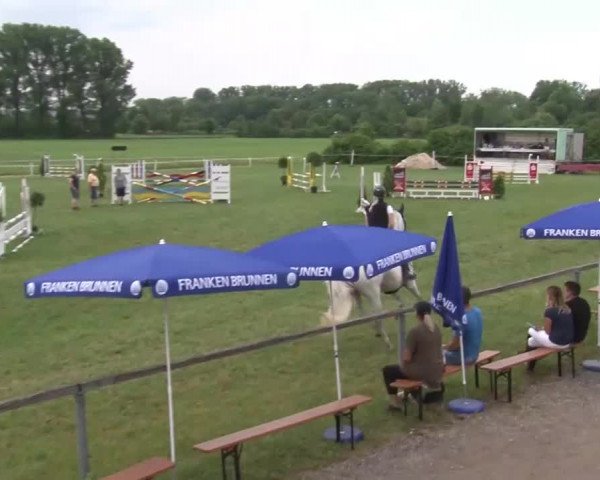 Reitturnier Bad Windsheim/Mfr. 2021