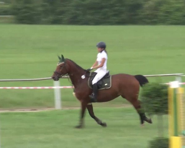 Reitturnier Bad Windsheim/Mfr. 2021
