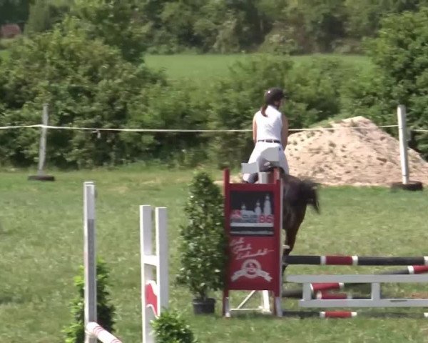 Reitturnier Bad Windsheim/Mfr. 2021