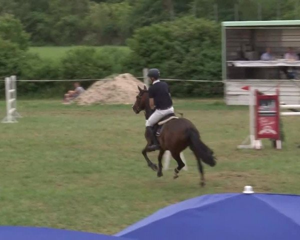 Reitturnier Bad Windsheim/Mfr. 2021