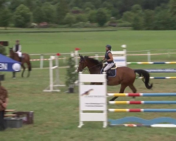 Reitturnier Bad Windsheim/Mfr. 2021