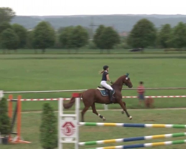 Reitturnier Bad Windsheim/Mfr. 2021