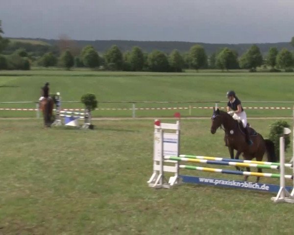 Reitturnier Bad Windsheim/Mfr. 2021