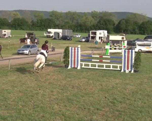Reitturnier Bad Windsheim/Mfr. 2021