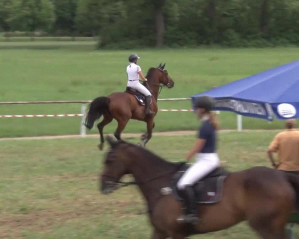 Reitturnier Bad Windsheim/Mfr. 2021
