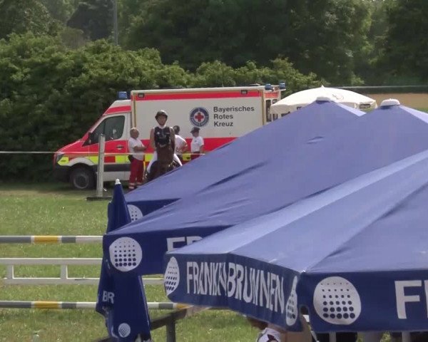 Reitturnier Bad Windsheim/Mfr. 2021