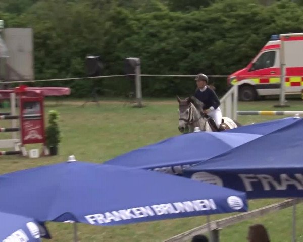 Reitturnier Bad Windsheim/Mfr. 2021