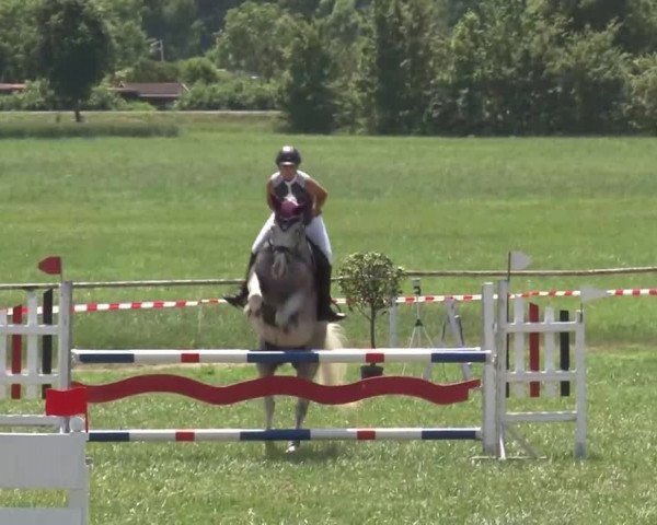 Reitturnier Bad Windsheim/Mfr. 2021