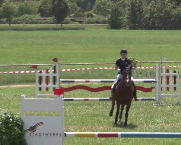 Reitturnier Bad Windsheim/Mfr. 2021