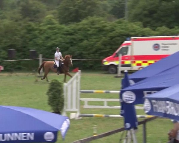 Reitturnier Bad Windsheim/Mfr. 2021