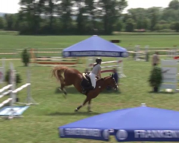 Reitturnier Bad Windsheim/Mfr. 2021