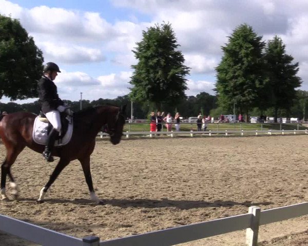 Reitturnier Coesfeld/Lette 2021