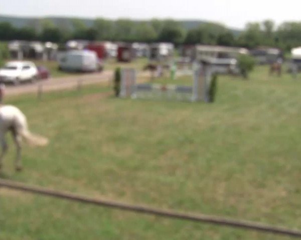 Reitturnier Bad Windsheim/Mfr. 2021
