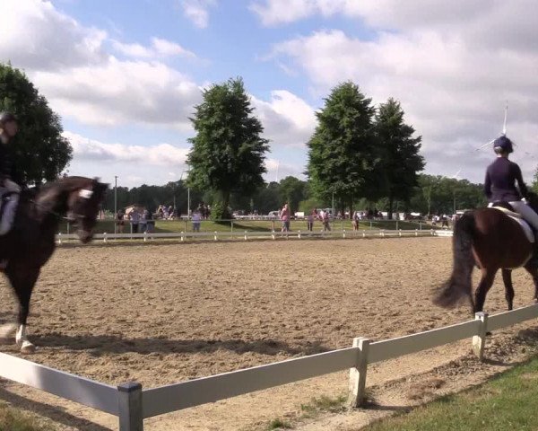 Reitturnier Coesfeld/Lette 2021