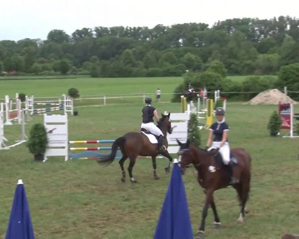Reitturnier Bad Windsheim/Mfr. 2021