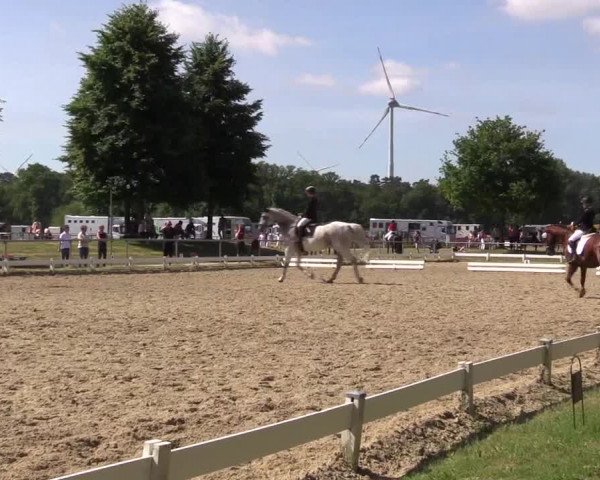 Reitturnier Coesfeld/Lette 2021