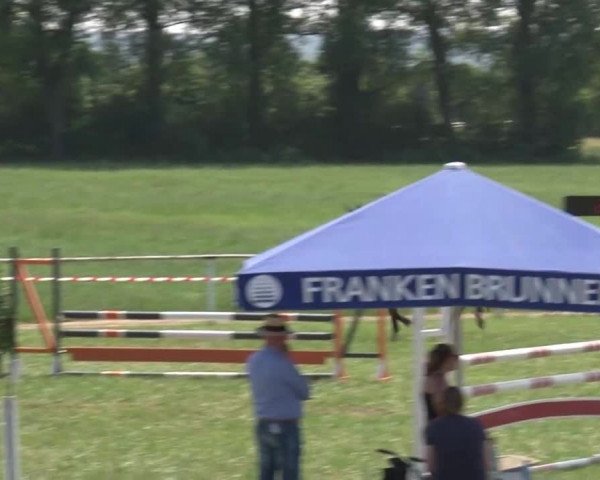 Reitturnier Bad Windsheim/Mfr. 2021