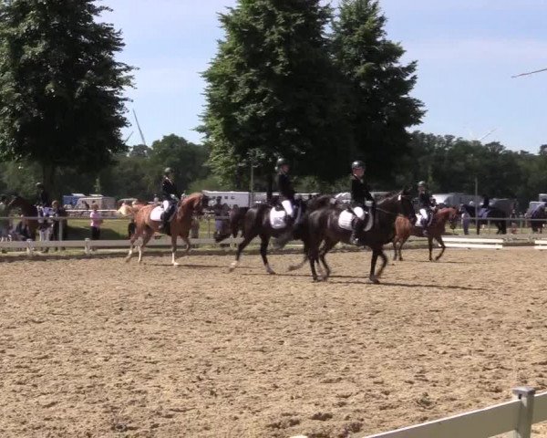Reitturnier Coesfeld/Lette 2021