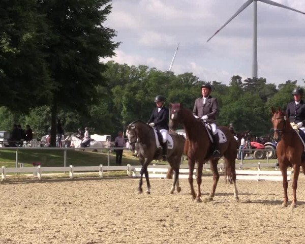 Reitturnier Coesfeld/Lette 2021