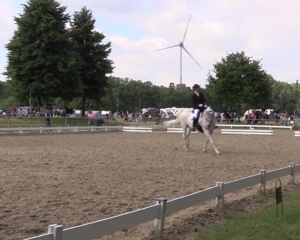 Reitturnier Coesfeld/Lette 2021