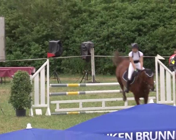 Reitturnier Bad Windsheim/Mfr. 2021