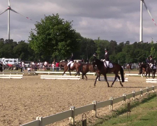 Reitturnier Coesfeld/Lette 2021