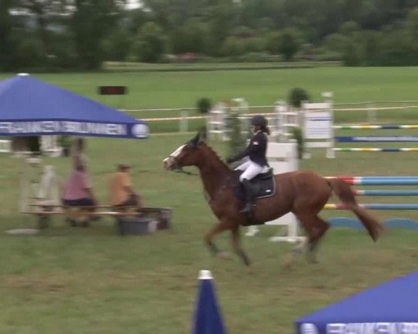 Reitturnier Bad Windsheim/Mfr. 2021