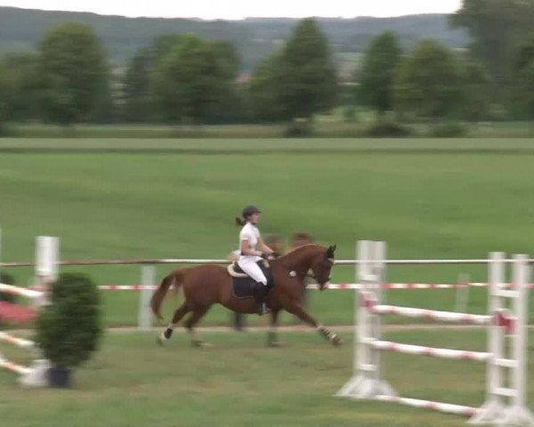 Reitturnier Bad Windsheim/Mfr. 2021