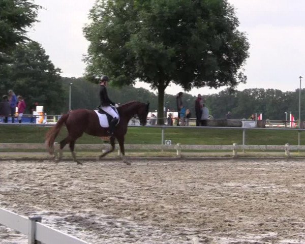 Reitturnier Coesfeld/Lette 2021