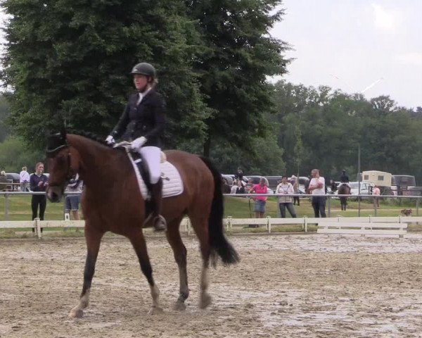 Reitturnier Coesfeld/Lette 2021
