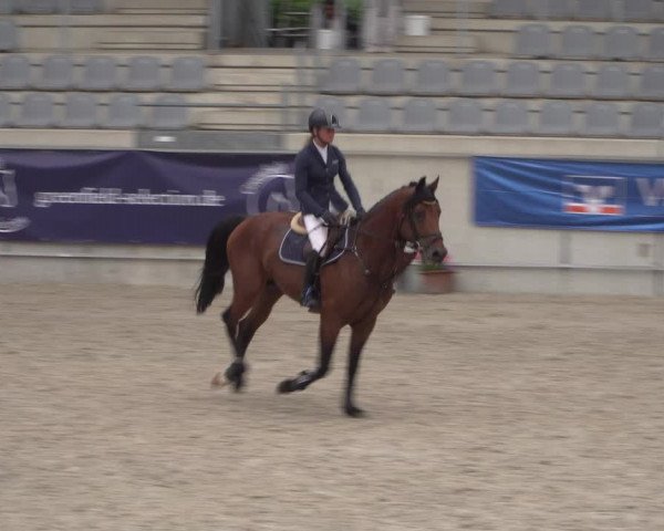 Reitturnier Aachen 2021