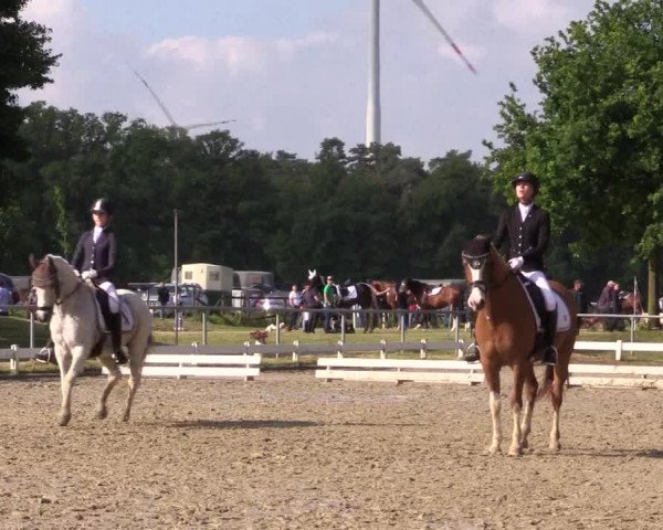 Reitturnier Coesfeld/Lette 2021